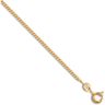9ct Yellow Gold Diamond Cut Pendant Curb Chain