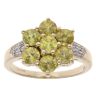 9ct Yellow Gold 0.05ct Diamond and Sphene Cluster Ring