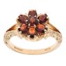 9ct Yellow Gold Garnet Cluster Ring