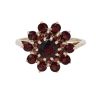 9ct Yellow Gold Garnet Cluster Ring