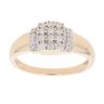 9ct Yellow Gold 0.25ct Brilliant Cut Diamond Cluster Ring
