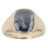 9ct Yellow Gold Hematite Centurion Signet Ring