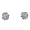 Silver Stone Set Cluster Stud Earrings By Icesia