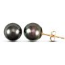 Cultured Pearl Stud Earrings