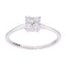 9ct White Gold 0.25ct Diamond Cluster Ring