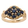 9ct Yellow Gold Sapphire Cluster Ring