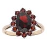 9ct Yellow Gold Garnet Cluster Ring