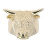9ct Yellow Gold Bull Ring