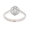 18ct White Gold 0.50ct Brilliant Cut Diamond Cluster Ring