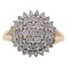 9ct Yellow Gold 1.00ct Brilliant Cut Diamond Cluster Ring