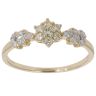 9ct Yellow Gold 0.30ct Brilliant Cut Diamond Cluster Ring