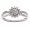 9ct White Gold 0.25ct Brilliant Cut Diamond Cluster Ring