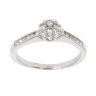 9ct White Gold 0.50ct Brilliant Cut Diamond Cluster Ring