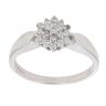 9ct White Gold 0.33ct Brilliant Cut Diamond Cluster Ring
