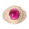 9ct Yellow Gold Red Gemstone College Ring