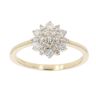 9ct Yellow Gold 0.50ct Brilliant Cut Diamond Cluster Ring