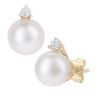 9ct Yellow Gold Cultured Pearl and Diamond Stud Earrings