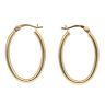 Silver Gold Plated Oval Hoop Earrings
