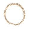 9ct Yellow Gold Albert Bracelet 8"