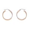 9ct Yellow And White Gold Hoop Earrings