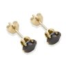 9ct yellow gold 5mm black CZ stud Earrings
