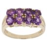 9ct Yellow Gold Amethyst Two Row Ring