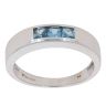 9ct White Gold Blue Gemstone Three Stone Ring