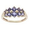 9ct Yellow Gold Two Row Tanzanite Ring