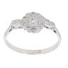 18ct White Gold 0.30ct Brilliant Cut Diamond Cluster Ring