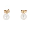 9ct Yellow Gold Freshwater Pearl Stud Earrings