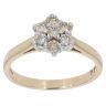 9ct Yellow Gold 0.50ct Diamond Cluster Ring
