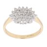 18ct Yellow Gold 0.50ct Brilliant Cut Diamond Cluster Ring