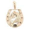 9ct Yellow Gold Horse and Horse Shoe Pendant