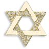 9 Carat Yellow Gold 10pts Diamond Star Of David Pendant