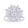 18ct White Gold 3.25ct Brilliant Cut Diamond Cluster Ring