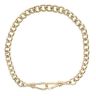 9ct Yellow Gold Albert Bracelet 8"