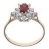 9ct Yellow Gold Garnet And Cubic Zirconia Cluster Ring