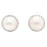 Silver Cubic Zirconia And Pearl Stud Earrings by Icesia