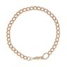9ct Yellow Gold Albert Bracelet 8"