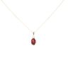 9ct Yellow Gold Garnet Pendant And Chain 18"
