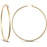 9ct Yellow Gold Polished Hoop Earrings