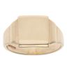 9ct Yellow Gold Plain Signet Ring