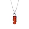 Sterling Silver Baltic Amber Tubular Drop Pendant Necklace